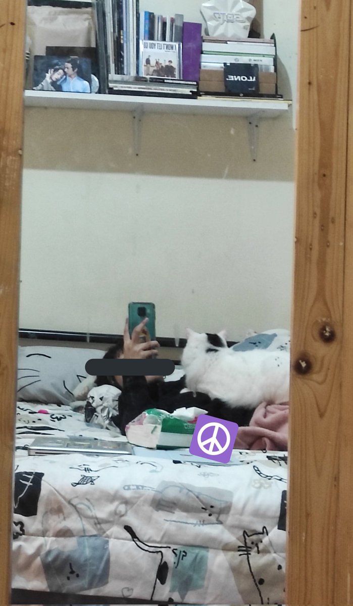 bintik_'s tweet photo. Bintik lagi nemenin mba yang lagi dapet nih, kasian perutnya sakit, jadinya bintik tindihin aja biar perutnya mba anget :( https://t.co/wW9TDx73e8