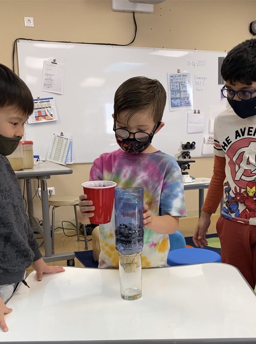 MrsMaureenWade's tweet photo. @daiseagles  grade 1 students 
learned about the importance of water and its role in our everyday lives. Working in teams, they designed water filters using commonly available materials. #thisisdais #issedu #calltoearth #COP26 https://t.co/F0LrSR1AaI