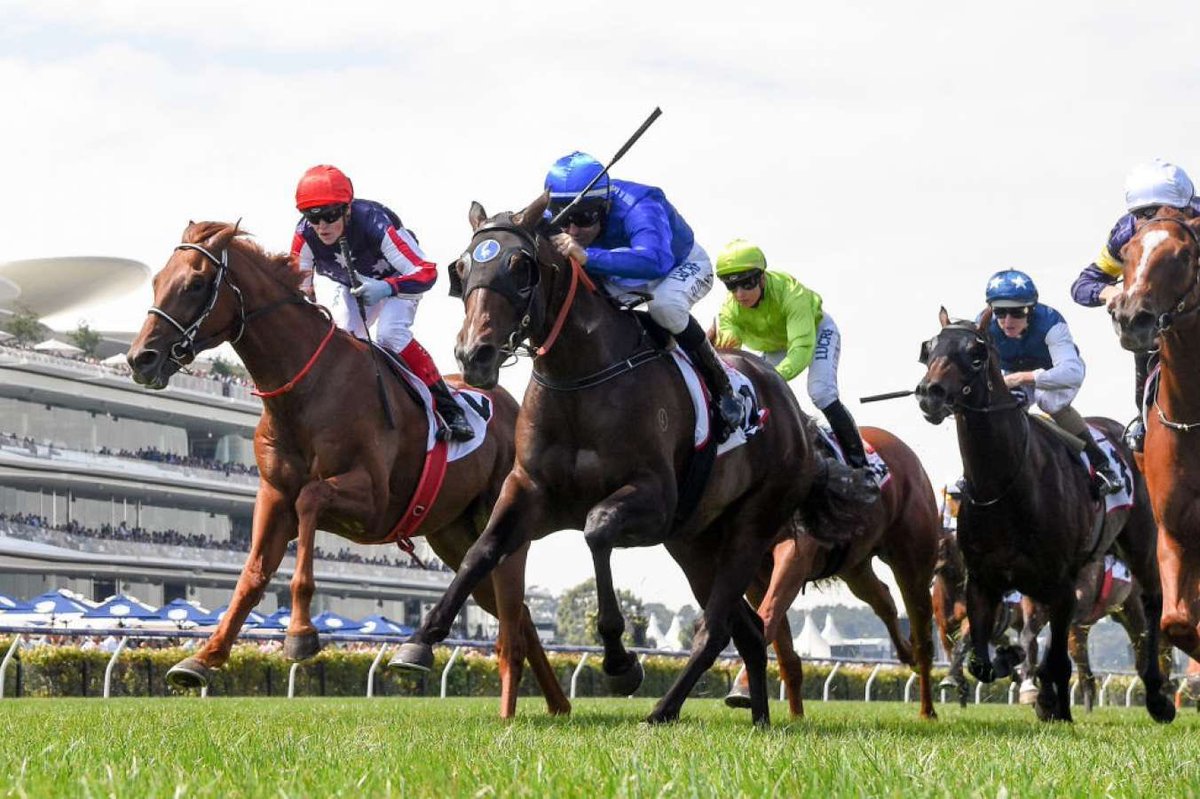 DalasanOfficial's tweet photo. Looking forward to reuniting with @CWilliamsJockey tomorrow in the Mackinnon Stakes ahead of a well deserved spell! 🏇💨 @SAbreeders @MacdonaldRacing @millparkstud @FlemingtonVRC @Racing https://t.co/HgKDRPiIE6