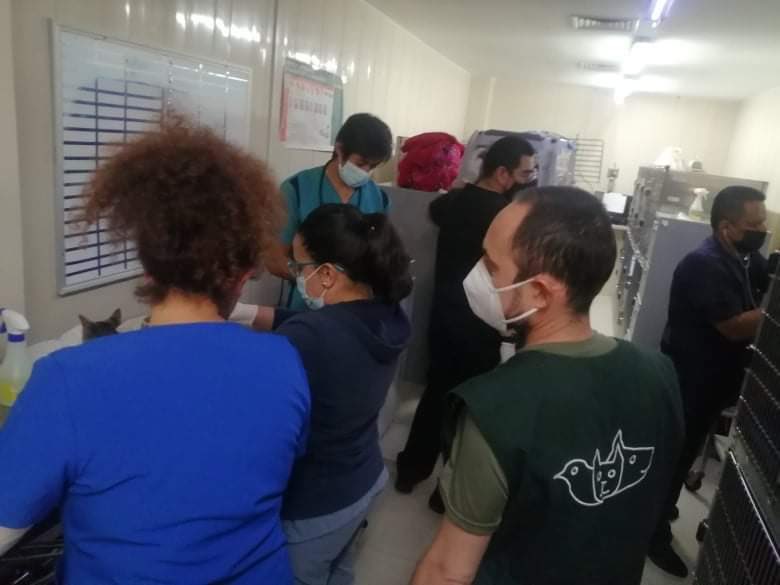 Fernando Rubio tweet media