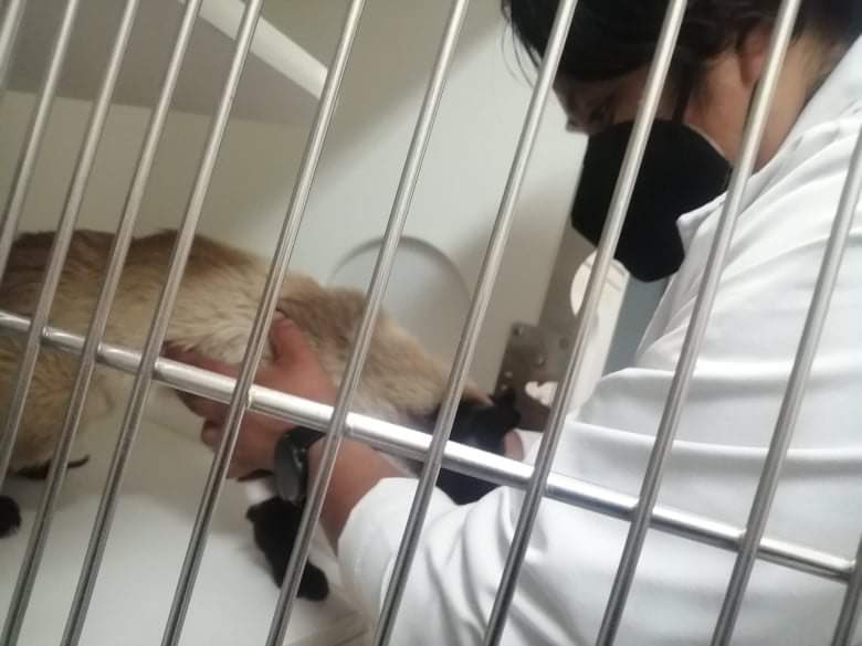 Fernando Rubio tweet media