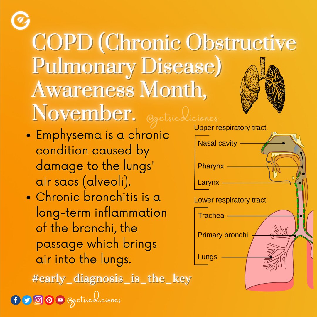 getsiediciones's tweet photo. COPD (Chronic Obstructive Pulmonary Disease) Awareness Month🧡 November
*early diagnosis &amp; treatment can improve quality of life #copdawarenessmonth #copd #chronicobstructivepulmonarydisease #pulmonarydisease 
#novembermonth #getsiediciones https://t.co/hXJlc3RMl6