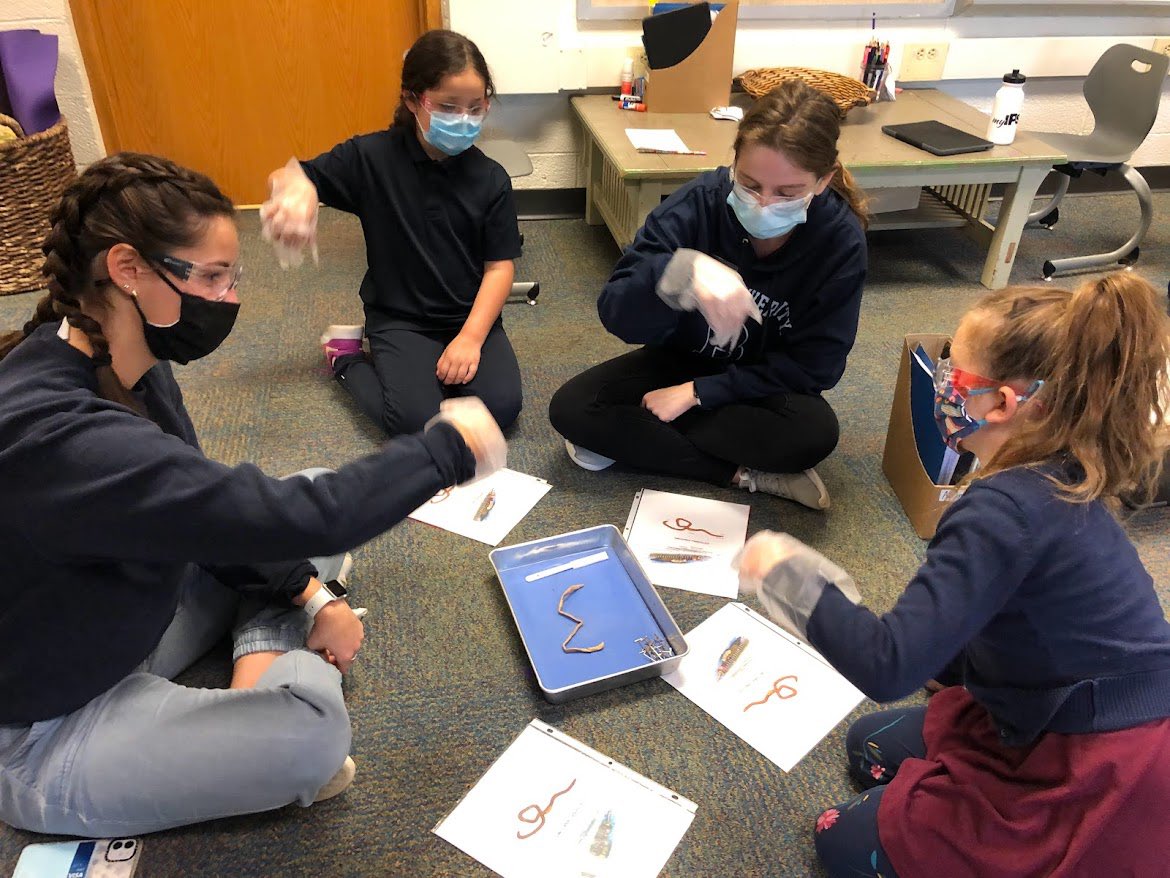ms_panek's tweet photo. We had the awesome opportunity to engage in a worm disection with first graders @IpsButlerLab55 today! They impressed me with their excitement and knowledge about worms! They are such amazing scientists!! 🥽#bublocka @ButlerCOE https://t.co/CDMlDZDPvy