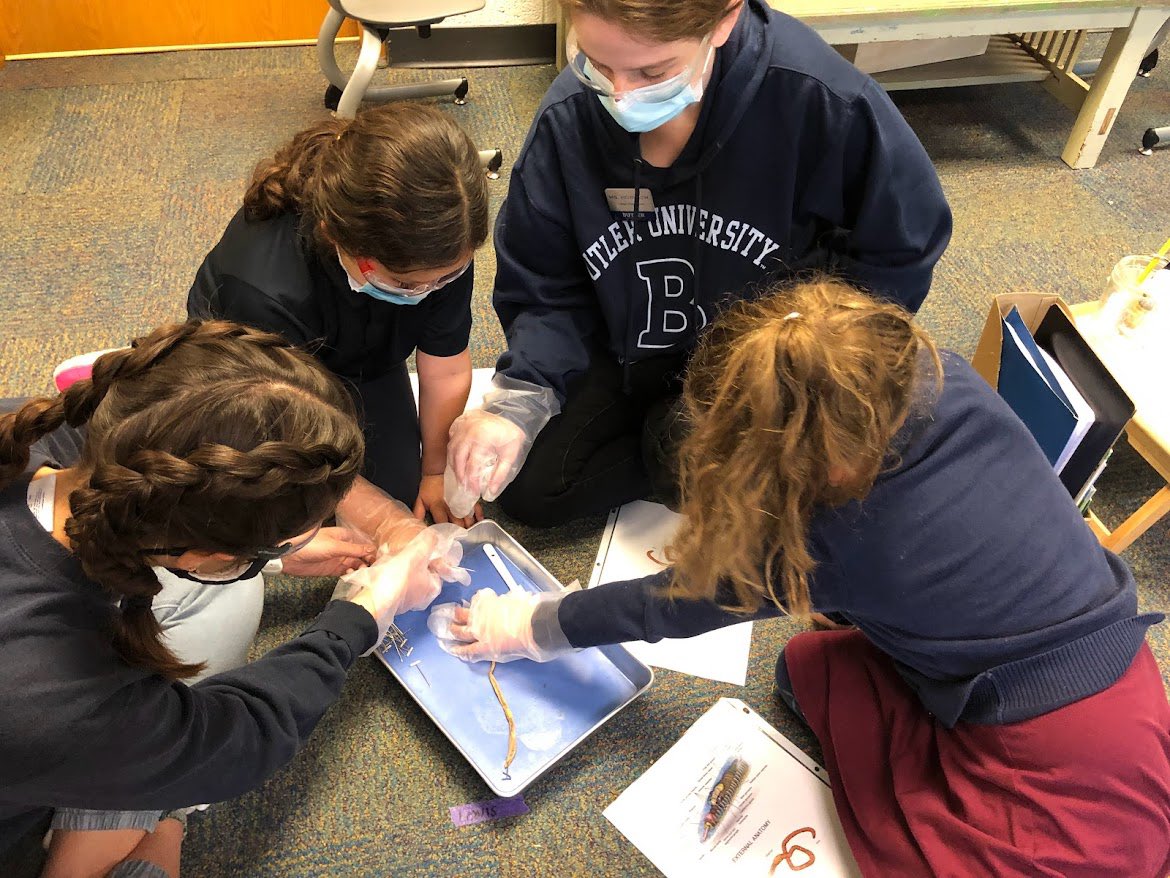 ms_panek's tweet photo. We had the awesome opportunity to engage in a worm disection with first graders @IpsButlerLab55 today! They impressed me with their excitement and knowledge about worms! They are such amazing scientists!! 🥽#bublocka @ButlerCOE https://t.co/CDMlDZDPvy