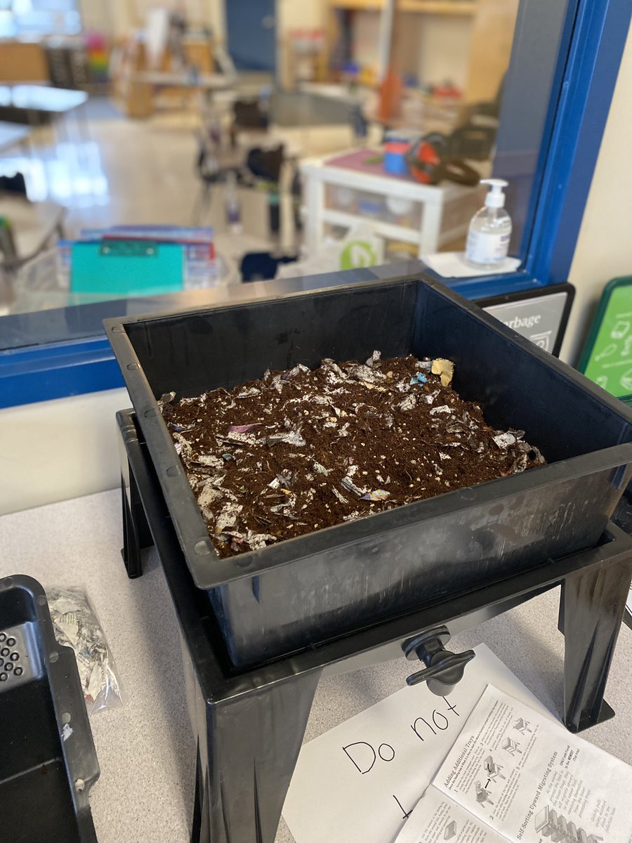 edavenport79's tweet photo. Bringing #outdooreducation into the school…@megswiebe and I set up the worm bin today @MatsquiElem!  It’s exciting🪱🪱.  @kari_petzold @TammySiganakis #abbyschools https://t.co/afxkeHWVP3