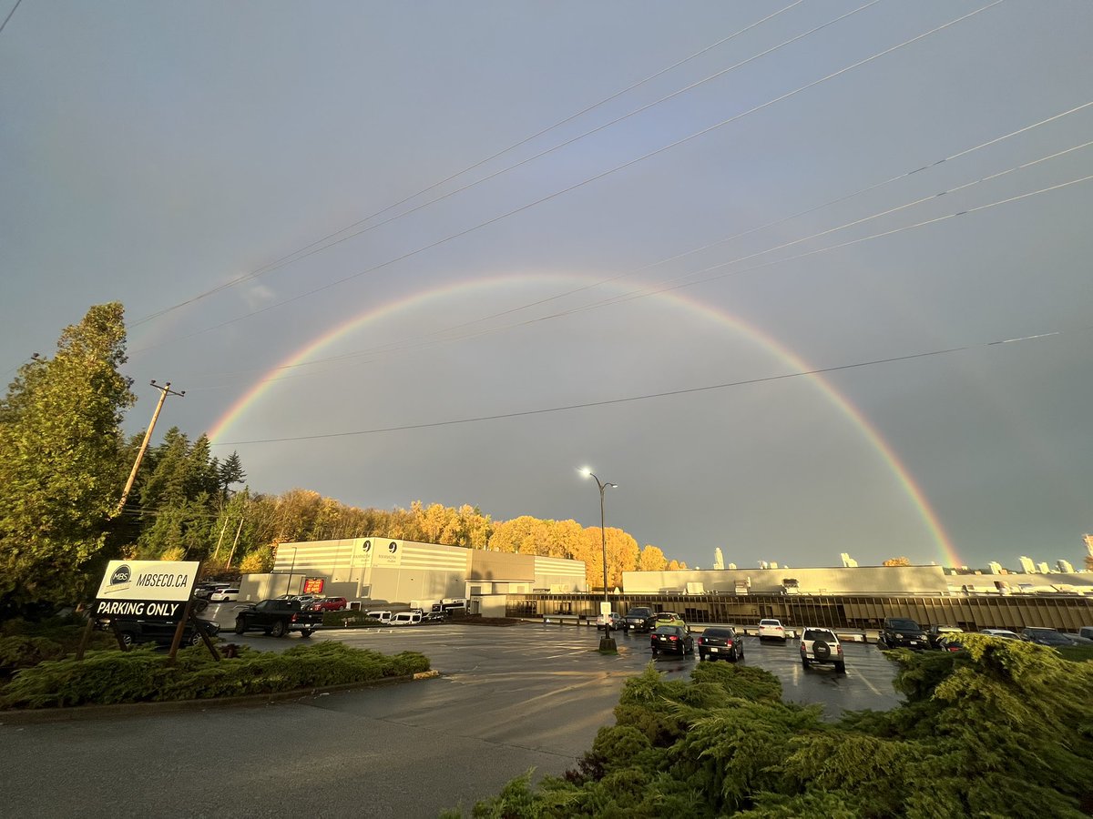 Ali Versi tweet media