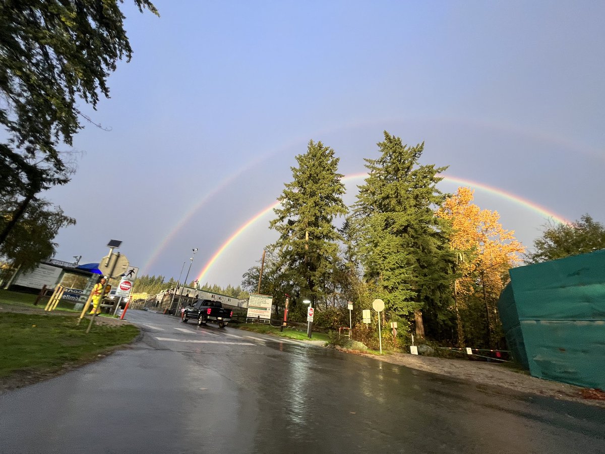 Ali Versi tweet media