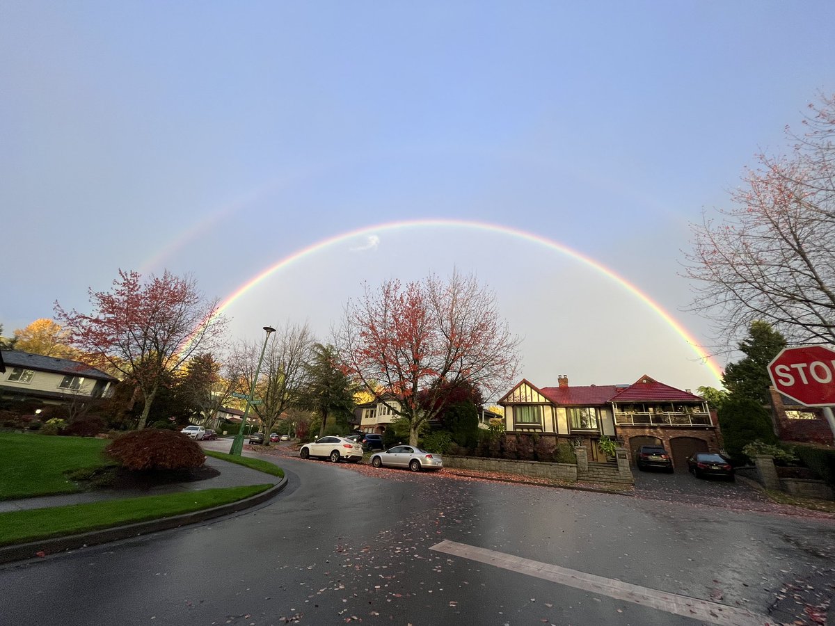 Ali Versi tweet media