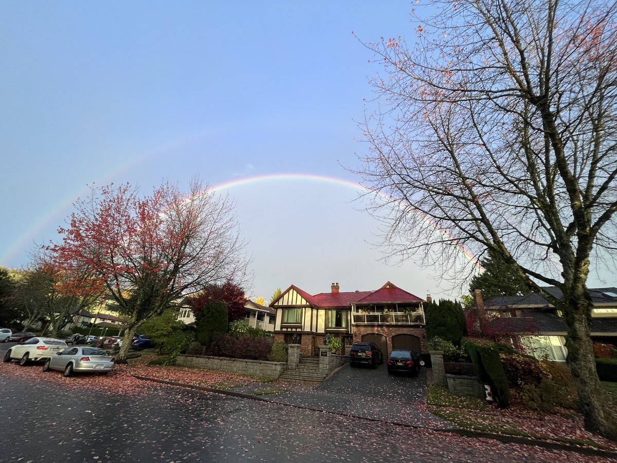 Ali Versi tweet media