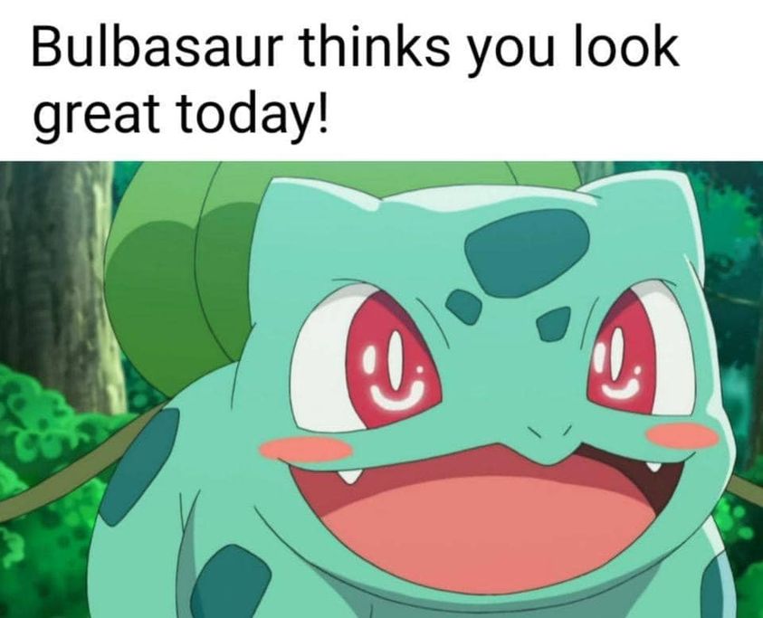 WholesomeMeme's tweet photo. https://t.co/5W8KGHdDW0