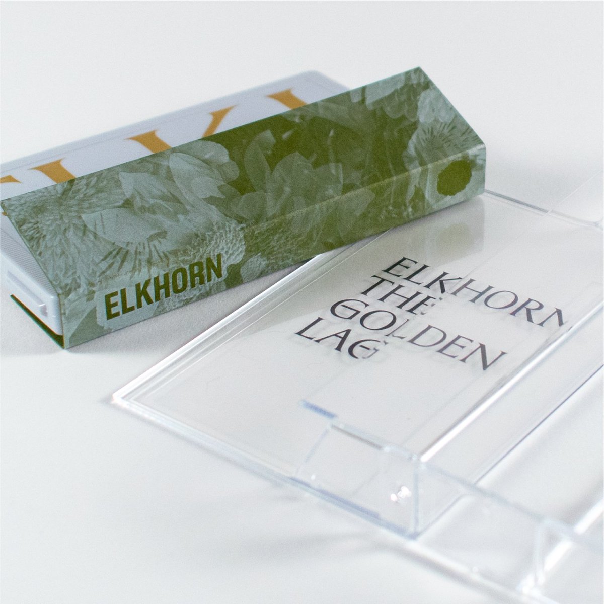 blueholerecs's tweet photo. Elkhorn's The Golden Lag out tomorrow Friday, November 5th. From France and PA, then down here to TX—we're all excited to get this one out there. Pre-orders for the tape have begun shipping, digital download available tomorrow. Futhur details below, thanks to all for yr support! https://t.co/klJO6WxRfW