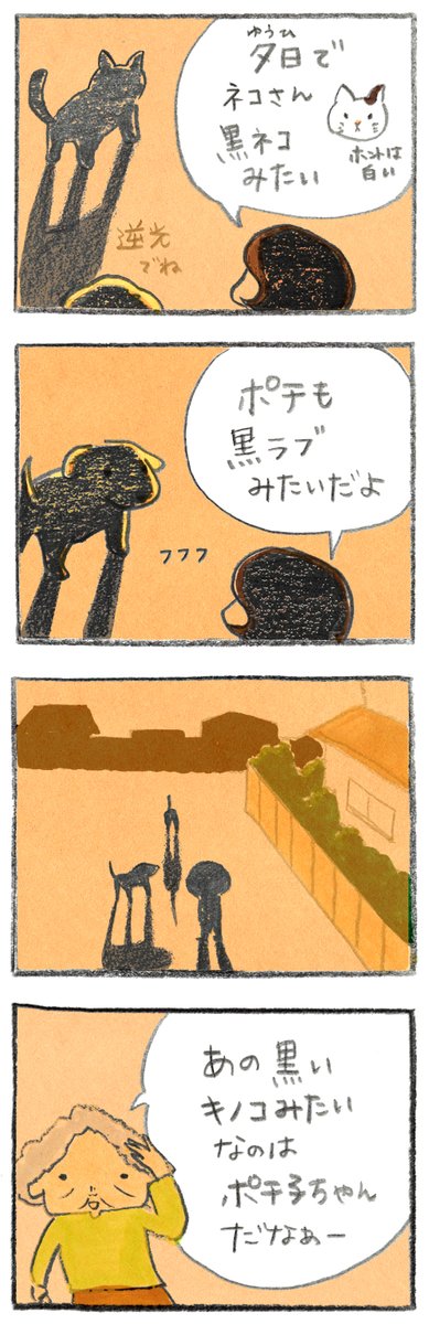黒キノコ 4コマ漫画 フクイのポチ子ちゃん 株式会社フクイ 黒ネコ 黒ラブ 夕焼け空 夕焼け 夕日 ツイレポ