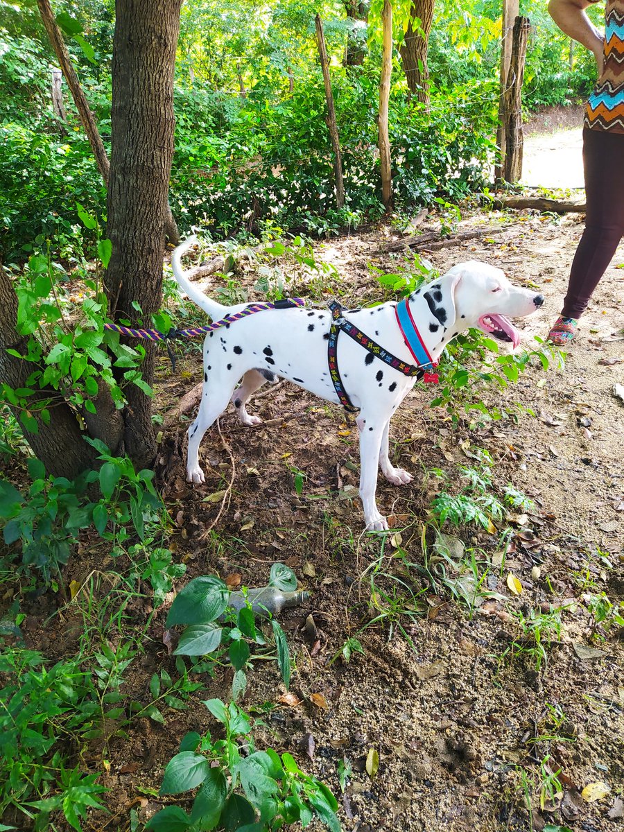 San 🫰🏻 tweet media