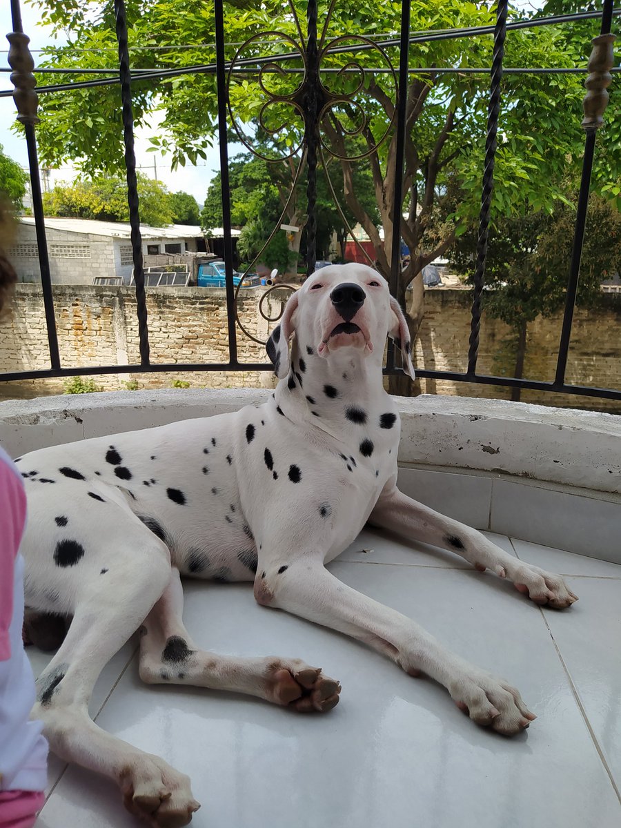 San 🫰🏻 tweet media