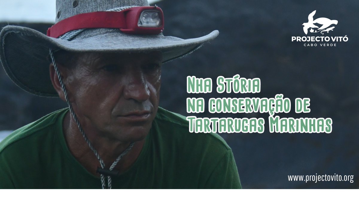 projecto_vito's tweet image. The #nestingbeach #patrollers make a huge contribution to #seaturtle #conservation. Their stories inspire us a lot and drive us to continue in this mission. see on this link👇
youtu.be/YAqeqay5_3A via @YouTube 
@prcmarine @MavaFdn