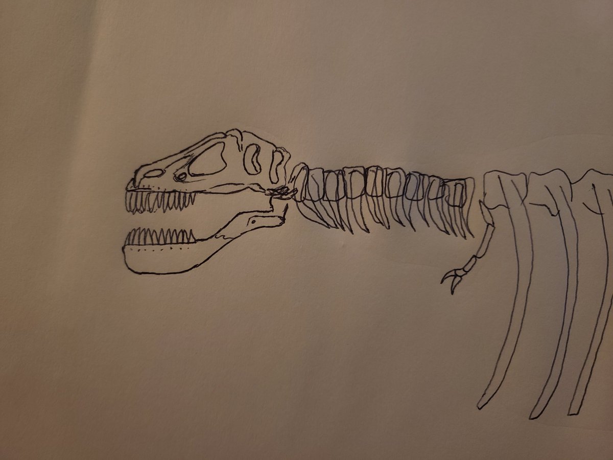 LBTLPodcast's tweet photo. I'm attempting a life restoration of the Big Thunder Mountain dinosaur and I think I've revolutionized our understanding of tyrannosaurid evolution. https://t.co/RyblIMAjml