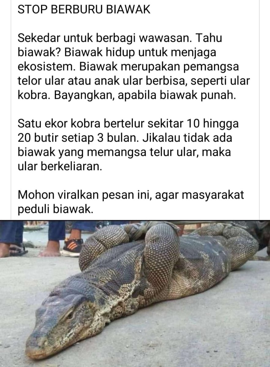 ZOO_FESS's tweet photo. Yuk di jaga zoo ekosistem yang udah ada jangan sampai punah ❤🙏 https://t.co/txhDfThdlt