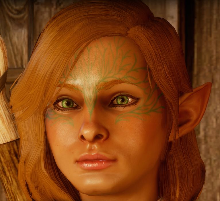 BevH0531's tweet photo. @wardenofmyheart Maybe just one more? Alyn Lavellan who romanced Solas. Yes, I actually romanced Solas. Once. https://t.co/b6Ao0rPlVW