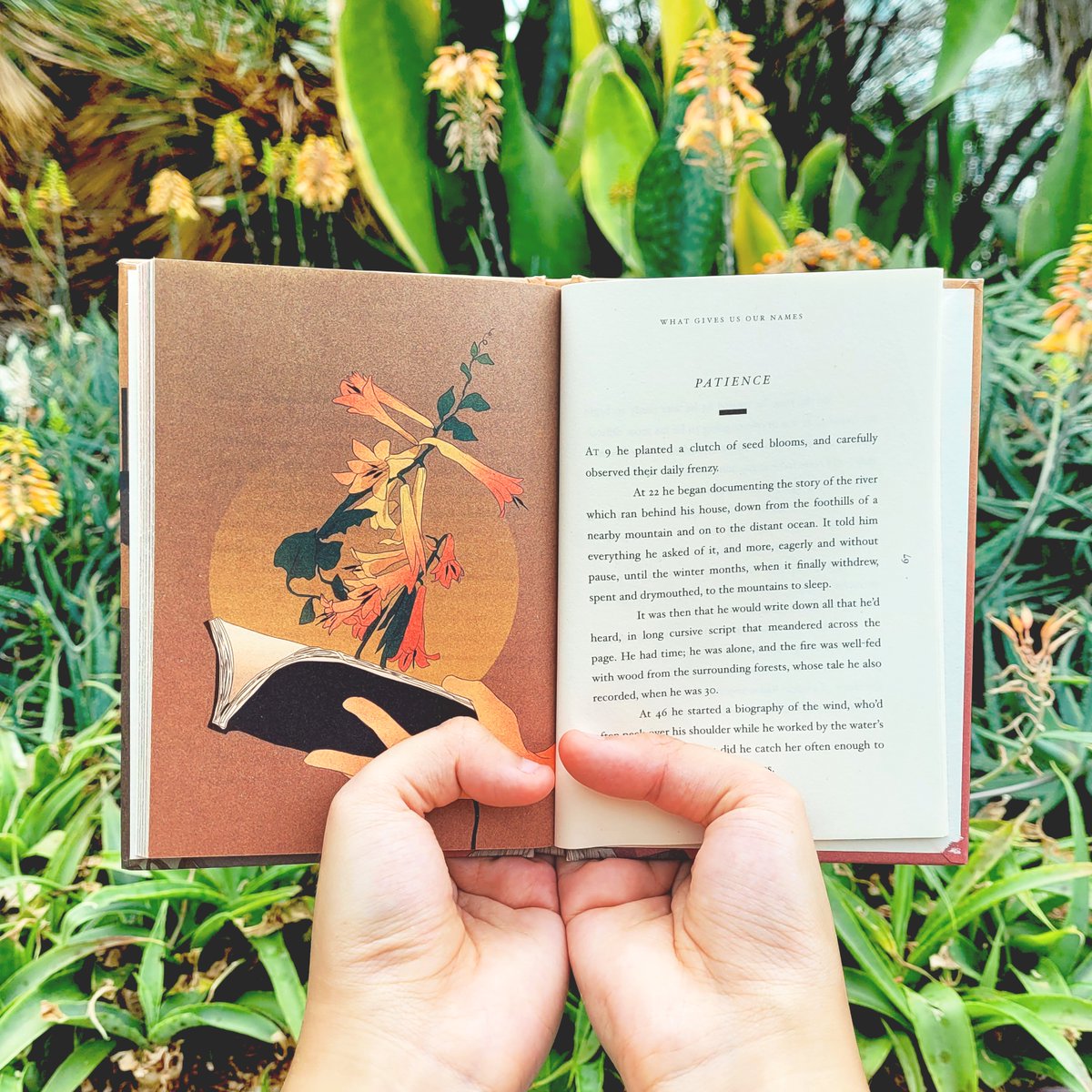 BooksActually's tweet photo. PATIENCE
At 9 he planted a clutch of seed blooms, and carefully observed their daily frenzy. At 22 he began documenting the story of the river which ran behind...
f"What Gives Us Our Names" by Alvin Pang
https://t.co/4J5rdYCwC5
#sglitftw
#mathpaperpress
#whatgivesusournames https://t.co/AwPVDP9UYv