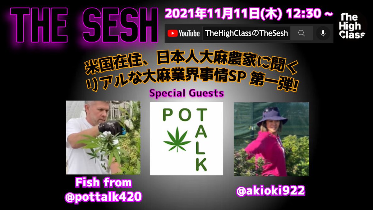 TTN_420's tweet image. THE SESH‼️
国外で活躍される大麻産業に携わる方のお話を聞けるチャンスです❣️
Liveなので、チャット欄で質問しちゃいましょう٩( °༥° )و ₎₎
11月11日(木曜日)12:30〜です‼️
#TheHighClass