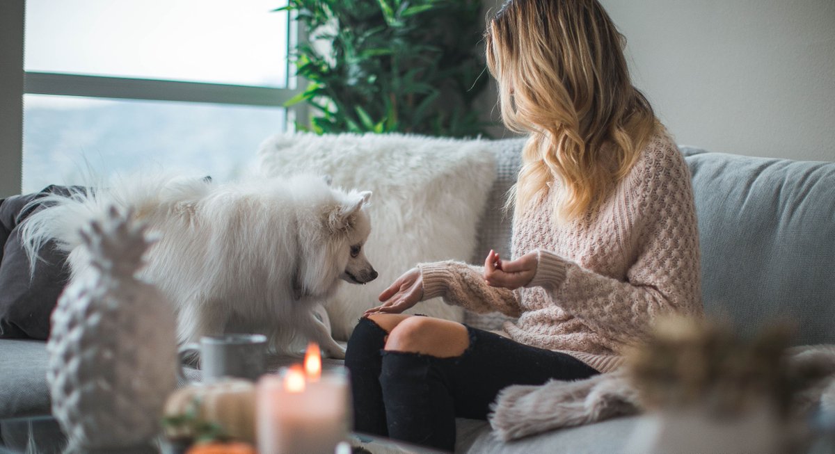 Candles make your home feel cozy, but the soot and the waxy residue it contains can clog your #HVAC filters fast. #HVACTips #HomeownerTips
