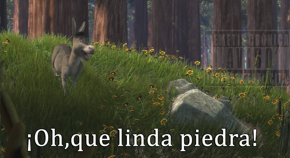 Jhon_Meme's tweet photo. Mis muelas cada vez que como frijoles: https://t.co/X9KZY2g2ON