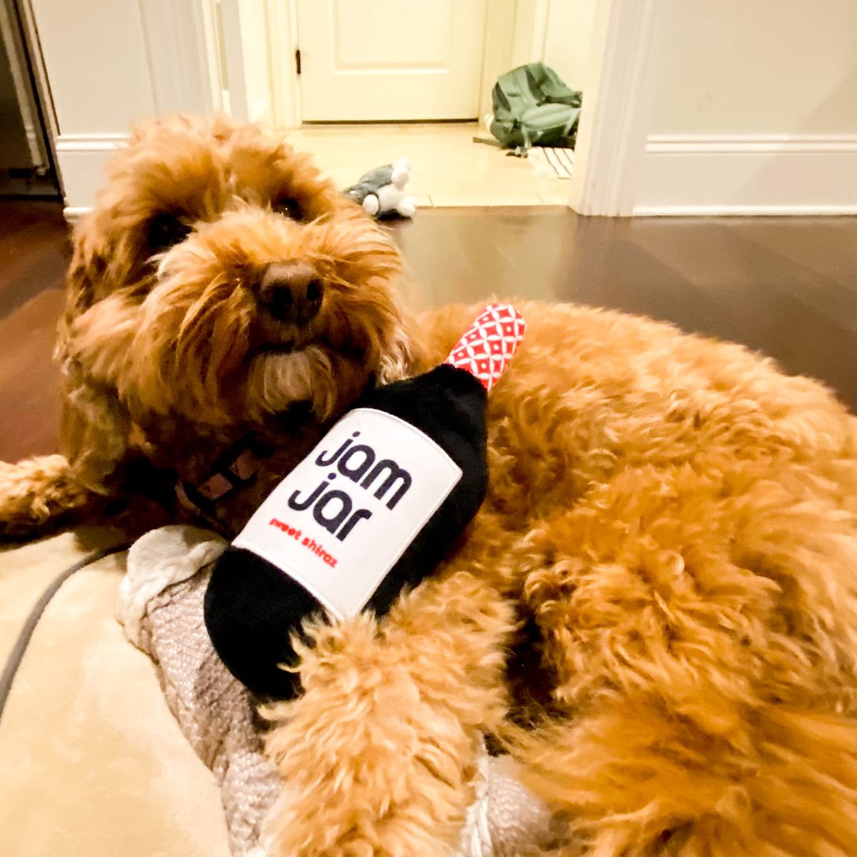 JamJarWines's tweet photo. One for you and one for your dog, because dogs also love Jam Jar. 💕
Shop now! https://t.co/y02VgNAT19
- Stuffed with cotton.
- Squeaky included.
- Loved by dogs.
- No real wine included (obviously)
#JamJarMerch #DogToys #DogPeople #Wine https://t.co/QKrQf2w1u1