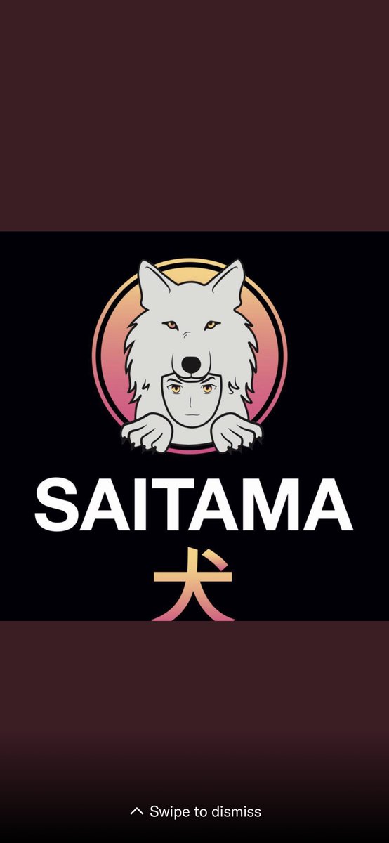 JKAllen16944166's tweet photo. One word - SAITAMA 🚀🚀🚀 https://t.co/jsUL66xCZb