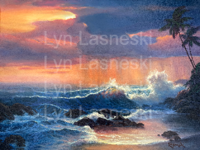 sunset animal hospital coupon