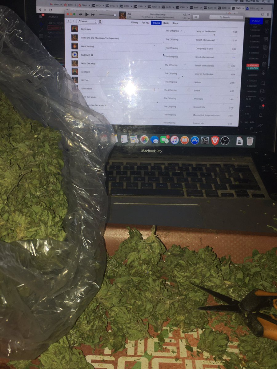 kingxxxpig42's tweet photo. Mood 🎶 ✂️ 
#trimjob #StonerFam #CannabisCommunity #Mmemberville #StayLifted #707og 
#theoffspring https://t.co/AqEw3myh4S