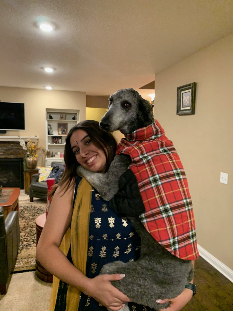 dhamne_ira's tweet photo. happy diwali from me &amp; my very desi sona. 🥰 https://t.co/s1OFK5tM4l