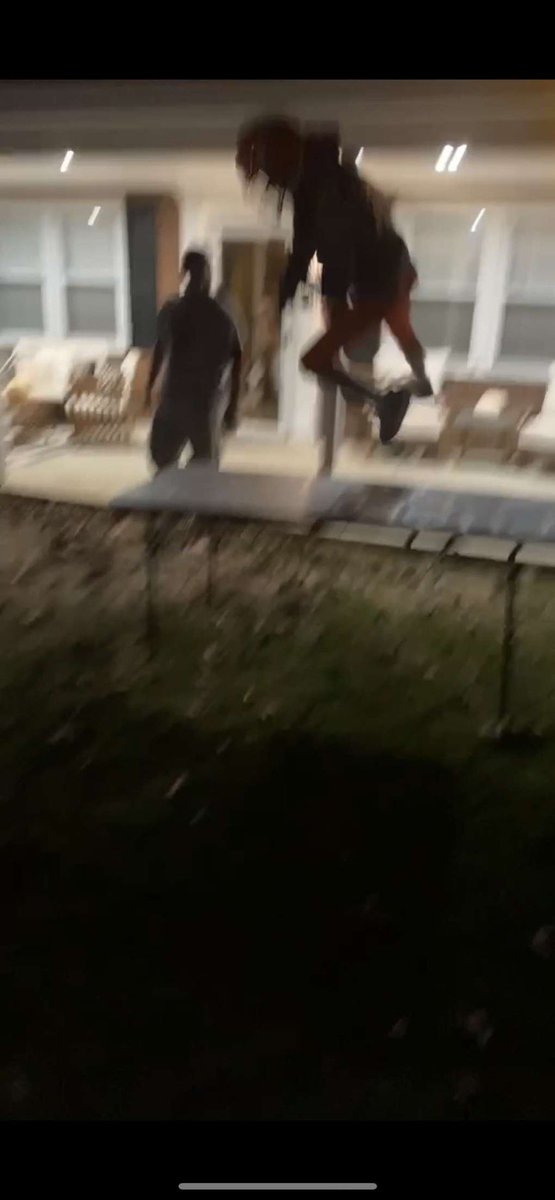 MN JUNGLE tweet media