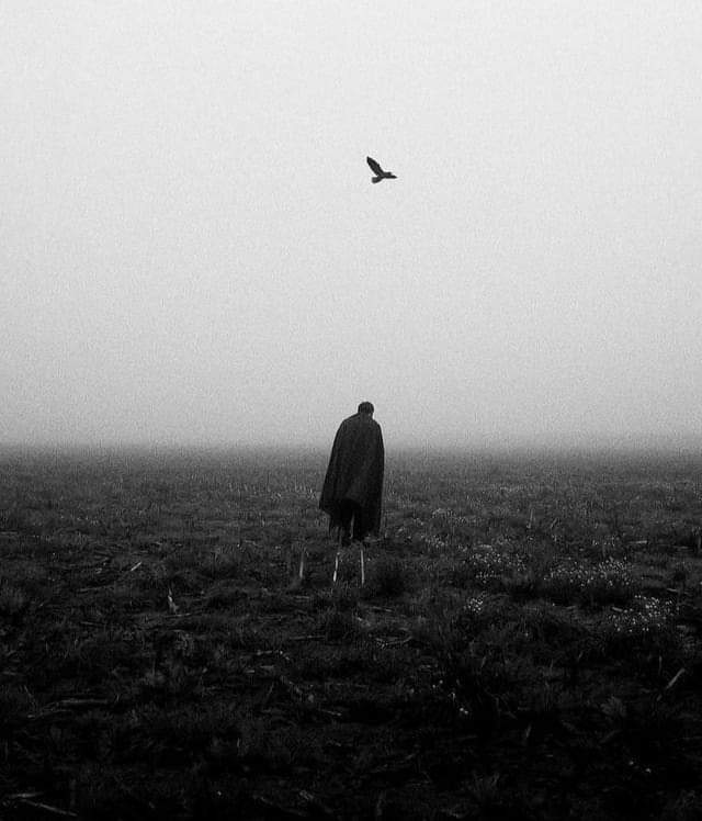 DerwinPrieto's tweet photo. «Desde mi infancia no he sido como otros eran, no he visto como otros veían, y todo lo que amé, lo amé solo».

—Edgar Allan Poe https://t.co/h7whPmsaRr