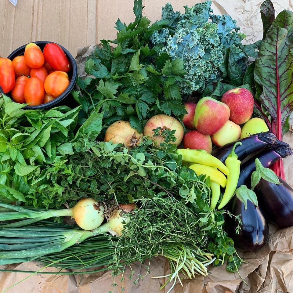 ECoUrbanGardens tweet media