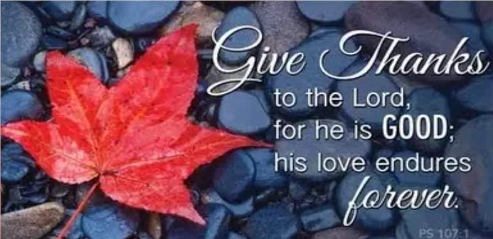 StLukesMHK's tweet photo. November 3rd and 4th, Thankful Bible Verses. https://t.co/EwFlRPajeN