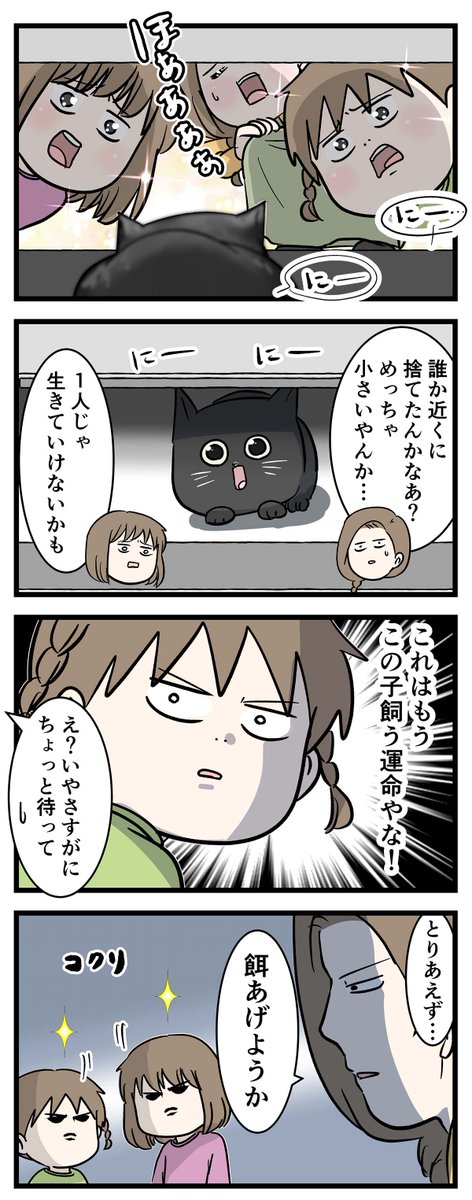 めっちゃカワイイ子猫が我が家にやって来て
飼うことになりそうって思った話
#コミックエッセイ 