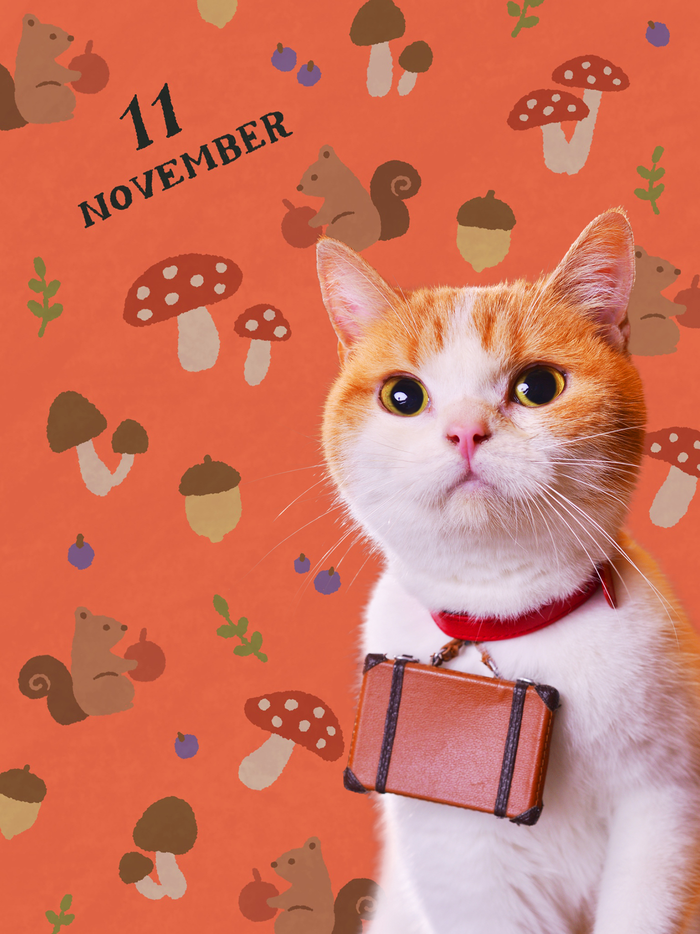 Pnpepaws19oajm