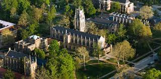 Louis Birch tweet media