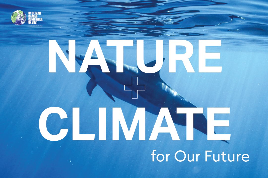 UNEP's tweet image. ⚠️There is no future without a healthy ocean 🌊. 

In Glasgow, world leaders must commit to ambitious funding &amp;amp; policy changes to protect biodiversity, for #ClimateAction &amp;amp; more

Friday is #COP26 Ocean Day: hhttps://bit.ly/3o1juFq