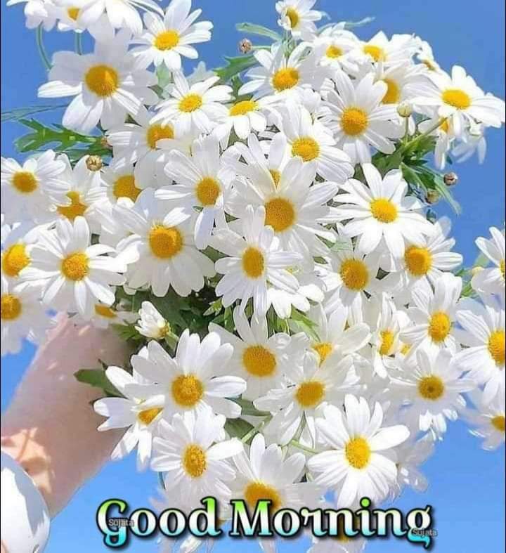 ଶଦ୍ଦ ଅଟଳ ମହାମେରୁ।
ତାହା ବ୍ୟାକରଣ ଠାରୁ ବୁଦ୍ଧିରେ ଭଲ ଚାଲେ।
#ସୁପ୍ରଭାତ👏