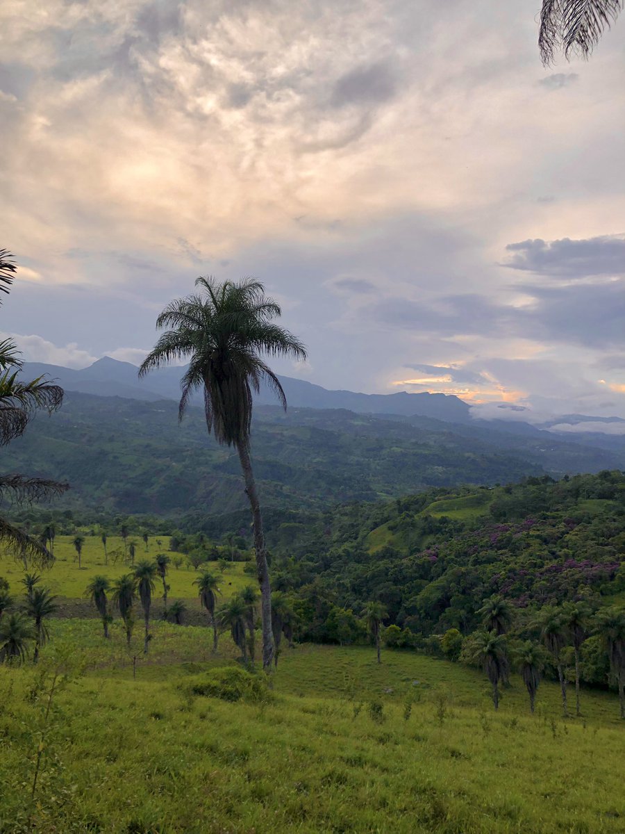 Paisajes que ofrece Campohermoso, Boyacá 🤩
#SemanaDeLasAves2 #AlasSinFronteras