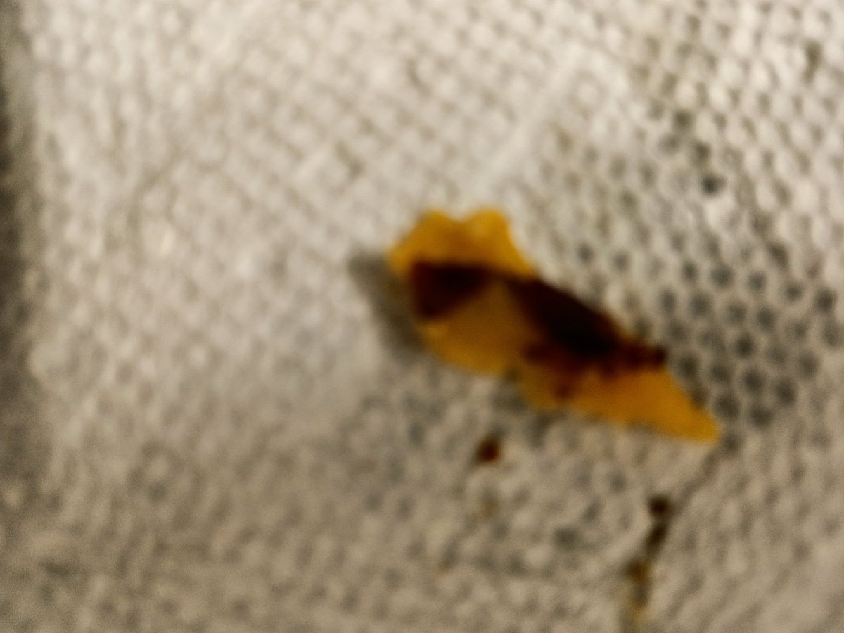 VanlooValorie's tweet image. Look who liked Kellogg's corn flakes????? @KelloggsUS