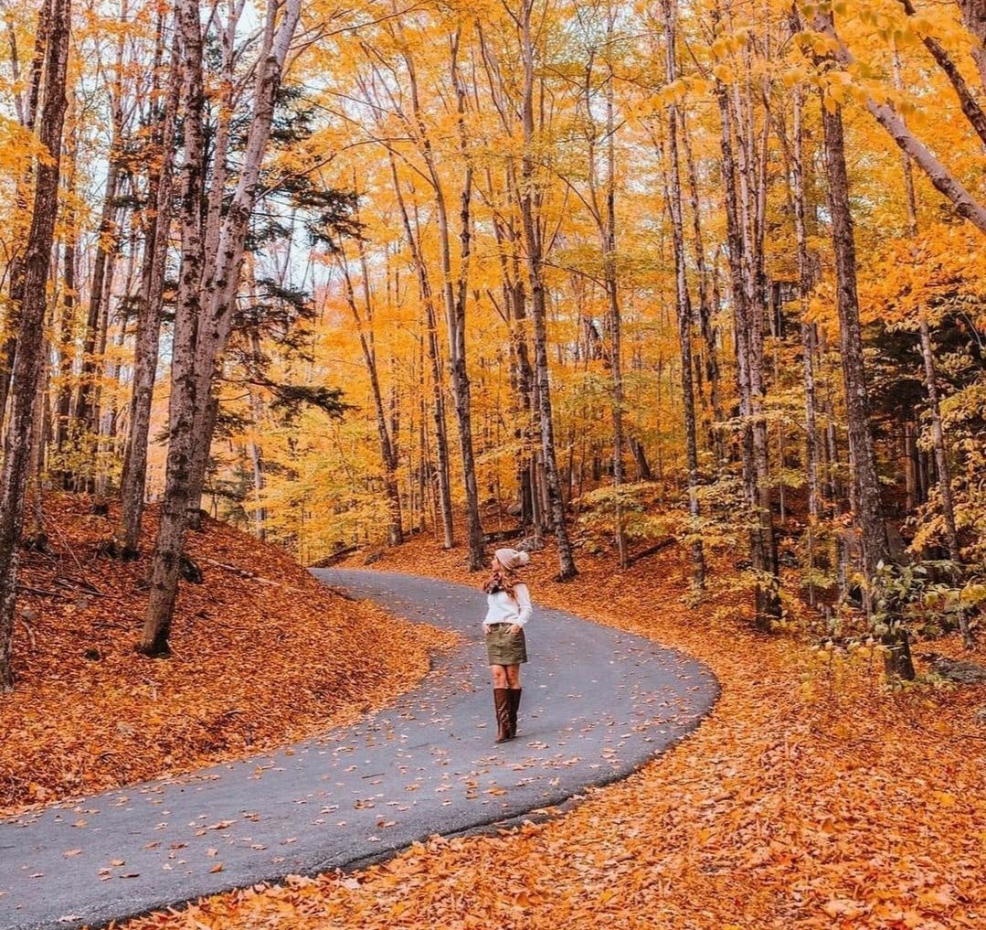 Salih Taşalan tweet media