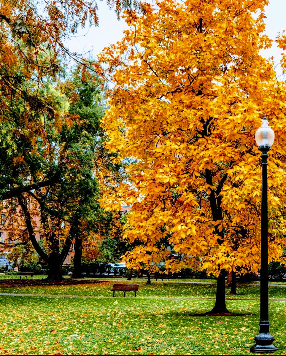 Salih Taşalan tweet media