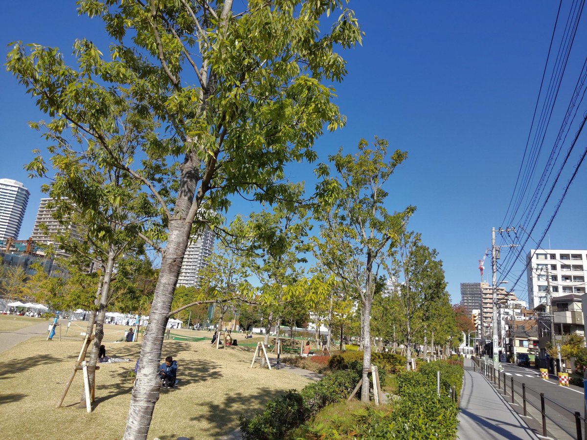 suzujun_jun's tweet photo. まだまだ厚手のコートや
ダウンジャケットの出番
はなさそうですね。

もうしばらくクローゼット
の奥に寝かせておきまし
ょう。

#お散歩日和 https://t.co/Z7CLknwud4