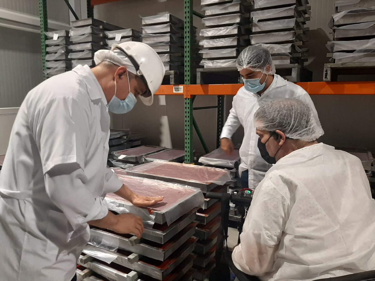 JMSanclemente's tweet photo. Estuvimos en #Tuluá, visitando a #Nutrium #Postobón. Tenemos un nuevo aliado en #AgriculturaPorContrato. Una empresa que tiene su operación dispuesta para aumentar las compras de fruta directamente a los productores pequeños y medianos, sin intermediarios y a los mejores precios. https://t.co/jhXMoMT0Ev