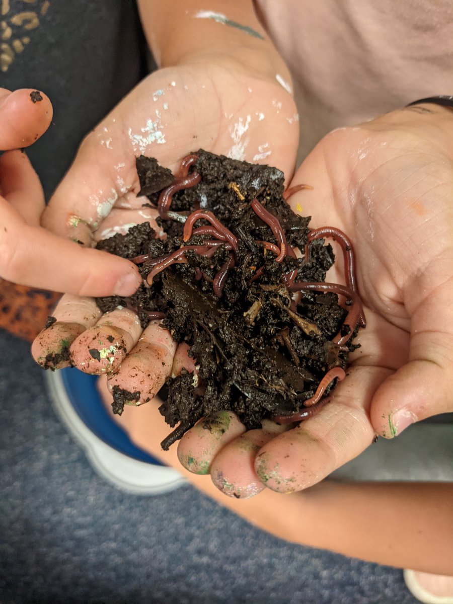 Melanie Master tweet media