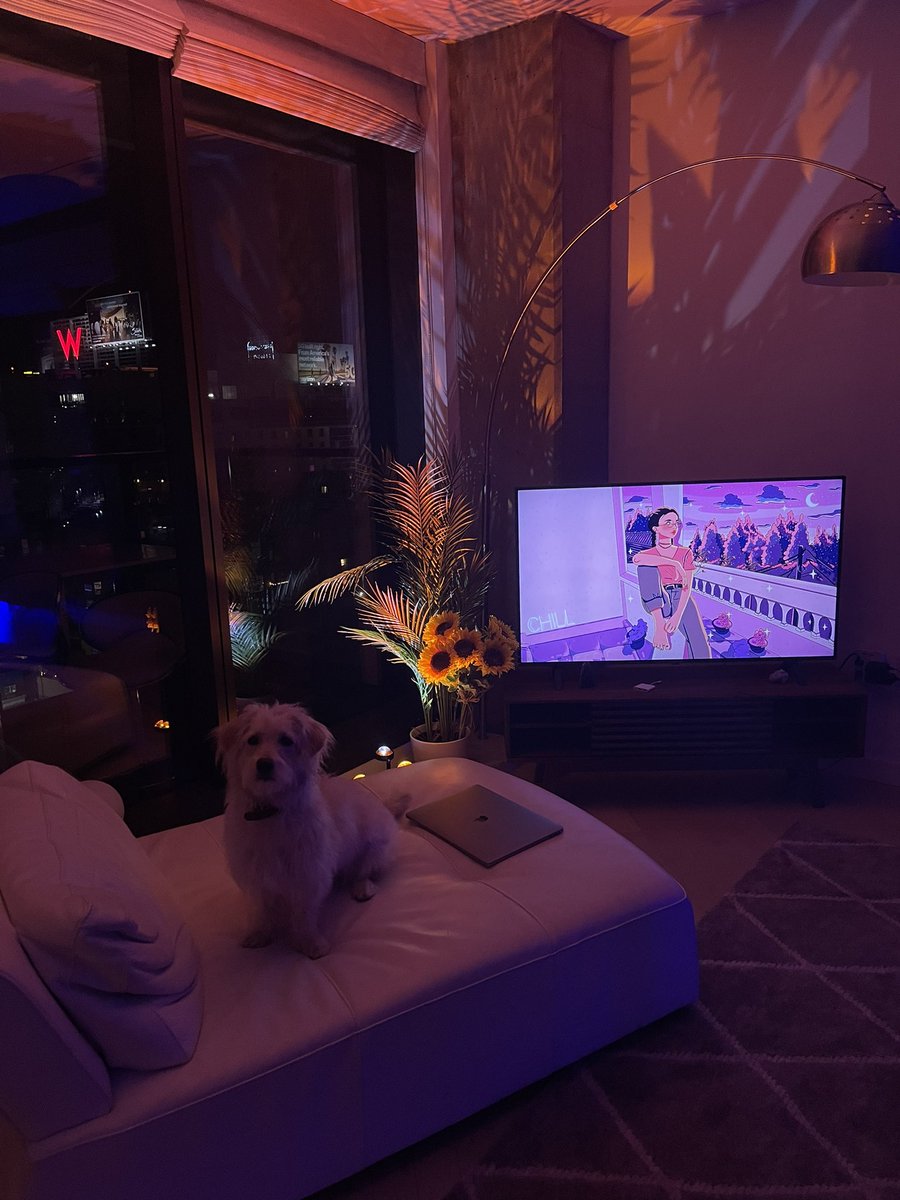 The Paws, Chico, They Never Lie.