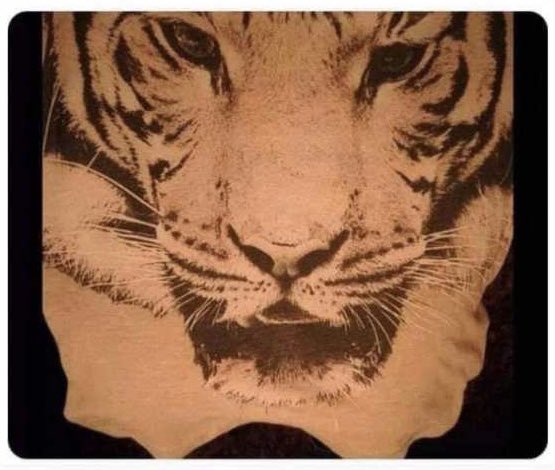 QueOaxaca's tweet photo. En #Oaxaca ya se siente el frío. Ya sacaron su cobija de tigre??? 🤣🤣🤣👌👌👌❄❄❄ https://t.co/H3AX6cQair