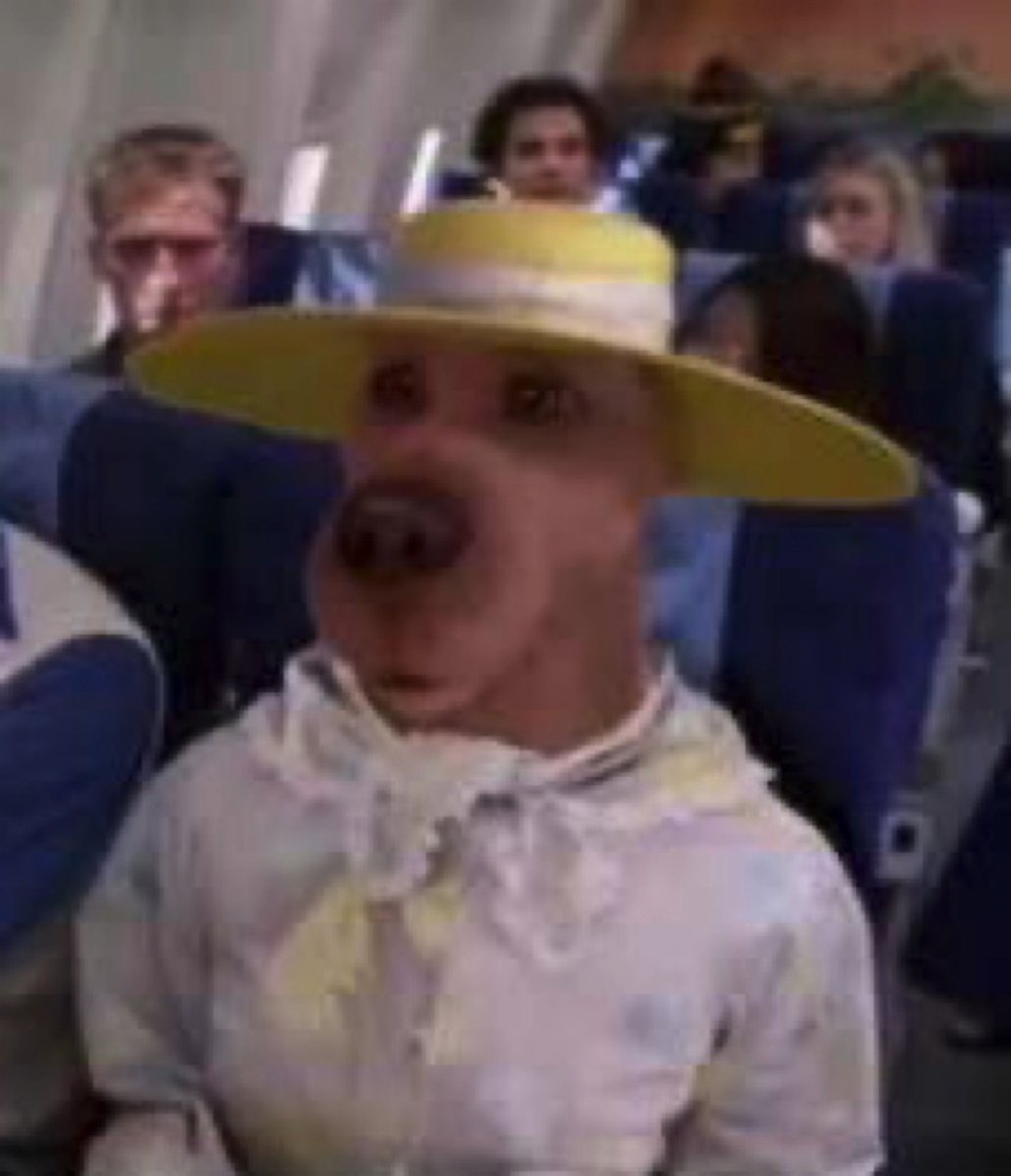 twitter would be a better place if everyone just posted this picture